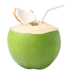 Fresh green coconut